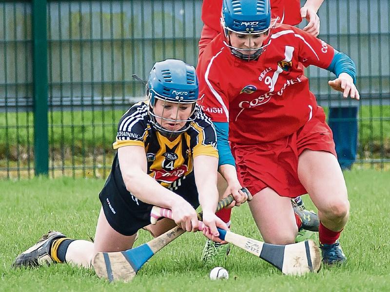 Lemon was a sweet winner!