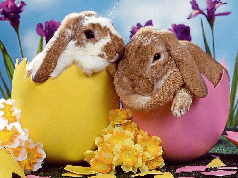Children's Easter activities in Kilkenny