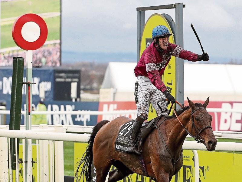 David the Goresbridge Goliath slays Aintree and the National