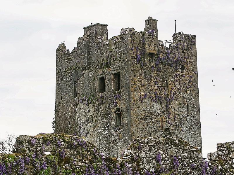 Kilkenny County Council awards funding to Ballyragget Heritage Festival 