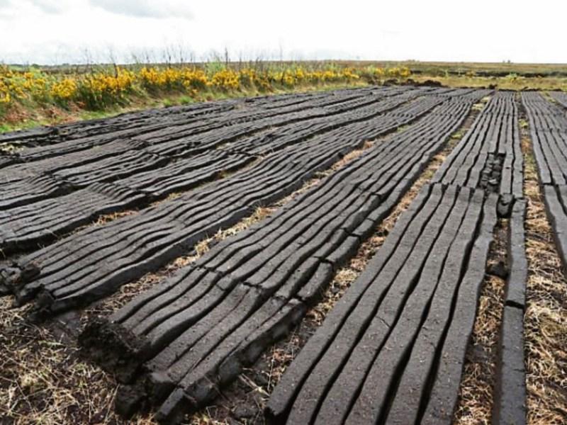 Workable system needed to phase out peat, says Irish horticulture group