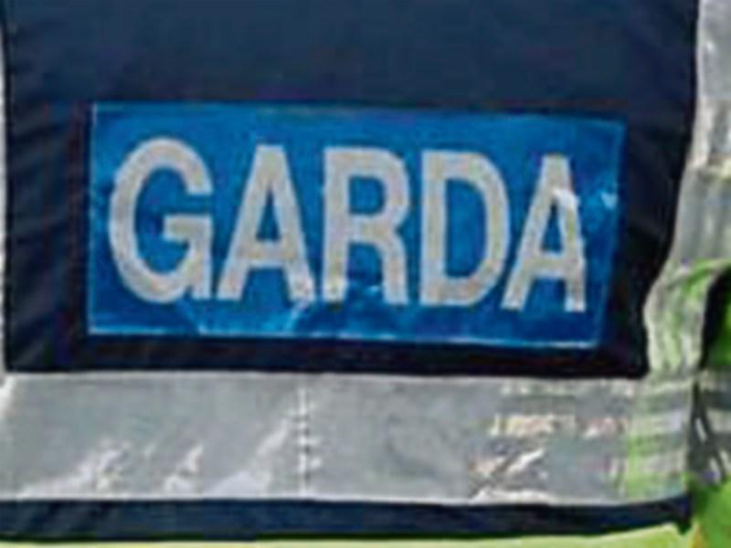 Disturbing report of alleged animal cruelty in Kilkenny City today