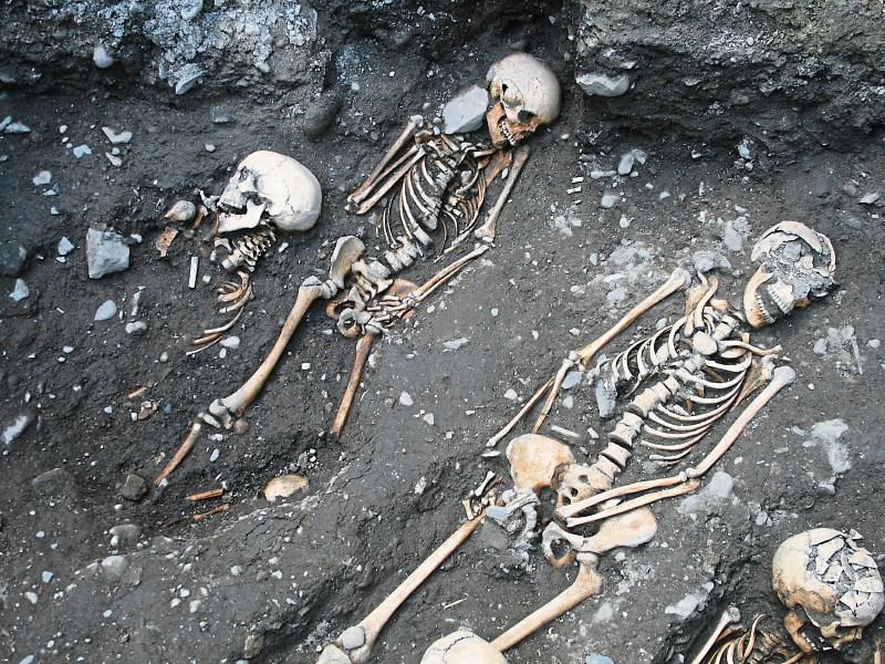 Further intriguing skeletons found at St Mary's Kilkenny