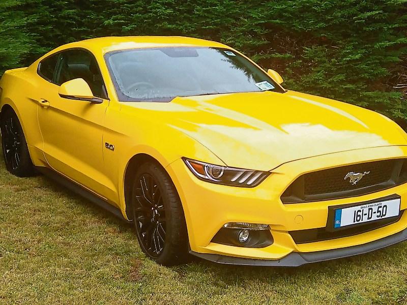 The heart winning Mustang is a smash hit during Arts Festival
