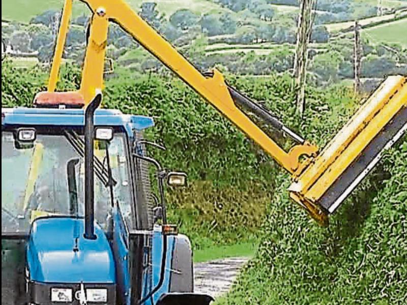 Hedge cutting. File pic.