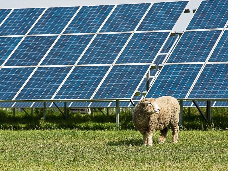 Will Kilkenny  farmers have a bright future with solar energy?