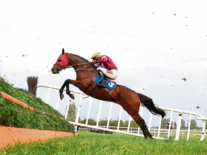 KP W41 Horse