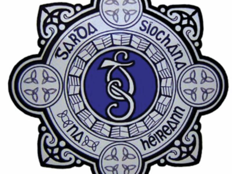 Victim of Paulstown crash named