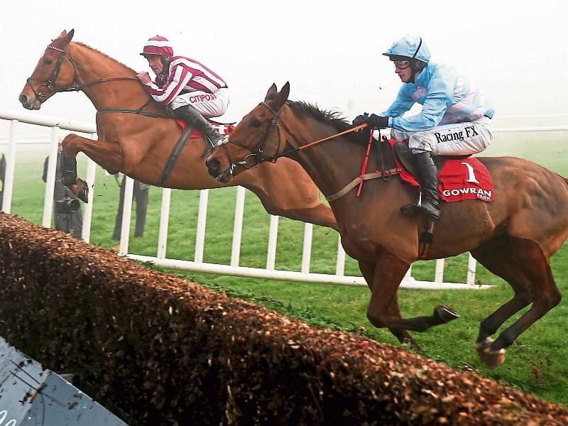 Champions take two but fog wins the day at Gowran Park