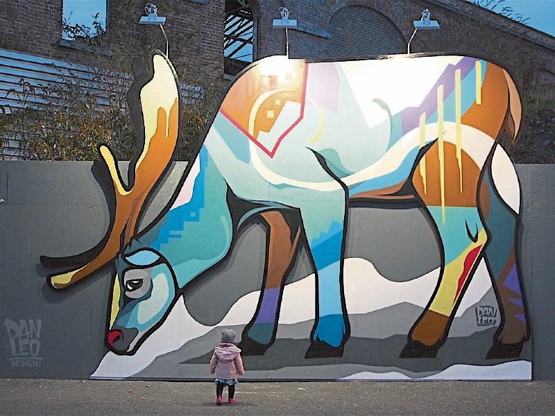 Stunning giant reindeer defies dark winter evenings in Kilkenny