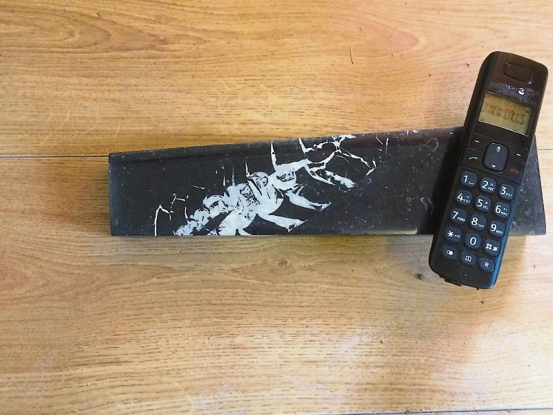 Rare Kilkenny fossil over 350 million years old found