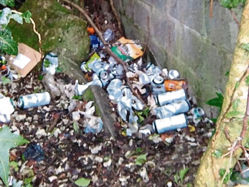 Litter offenders should be 'named and shamed' according to a Kilkenny councillor 