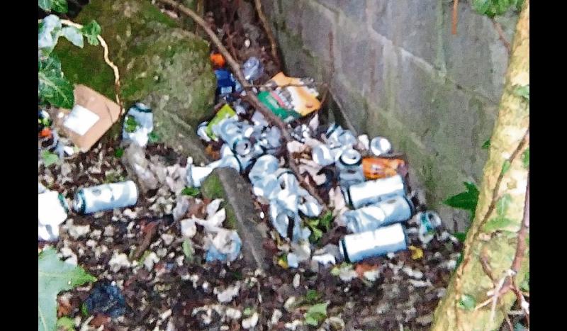 Kilkenny litter