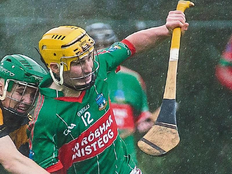 Happy New Year for young Cats in Walsh Cup