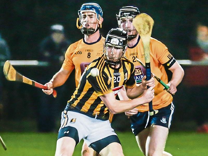 Young bloods show edge as they get Walsh Cup off to flying start