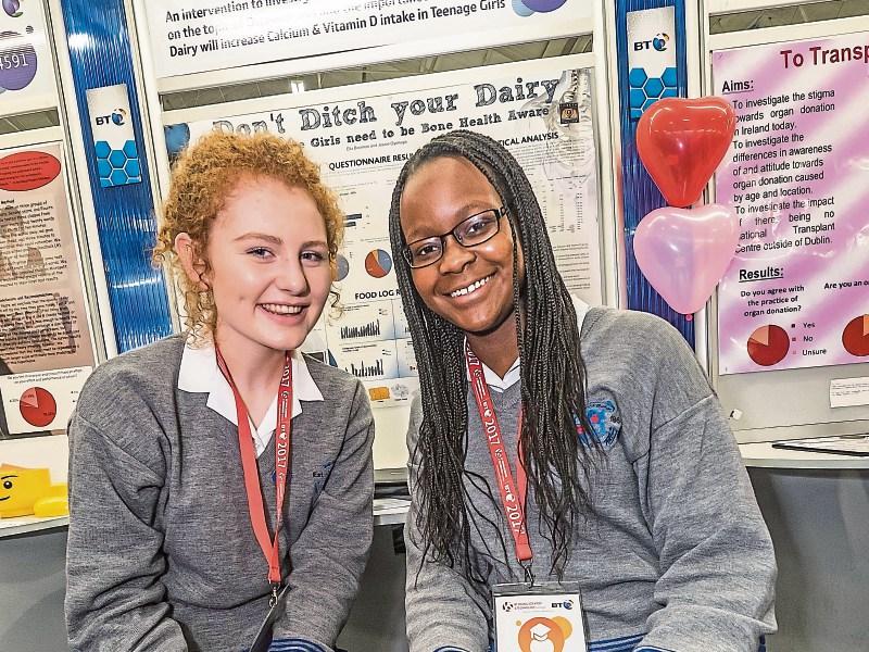 Six awards for Kilkenny schools at Young Scientist Exhibition