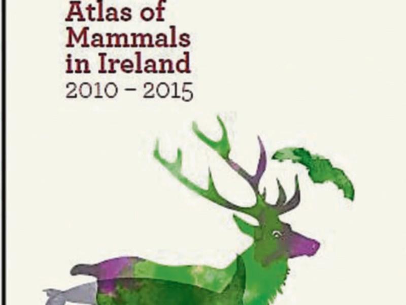 Atlas of Mammals in Ireland to be launched in Kilkenny