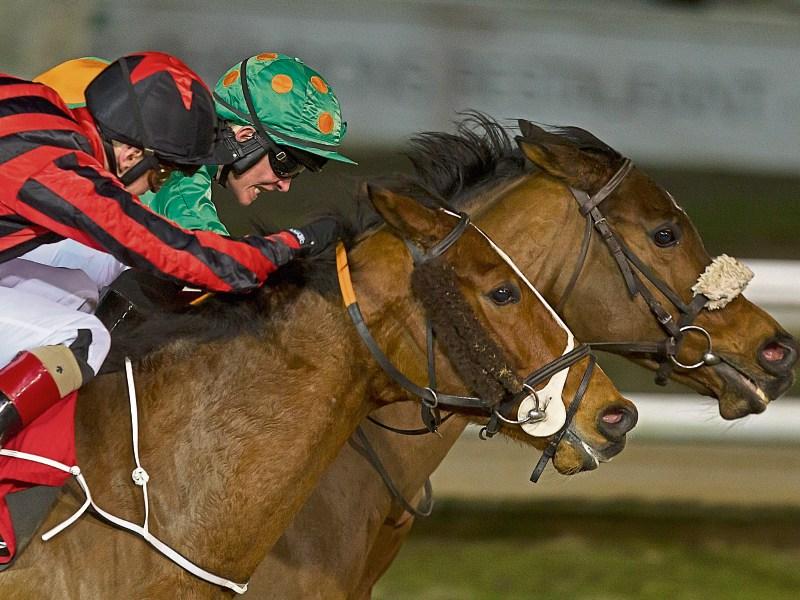 Ex Patriot delivers some bliss for Ballyhale trainer Holden