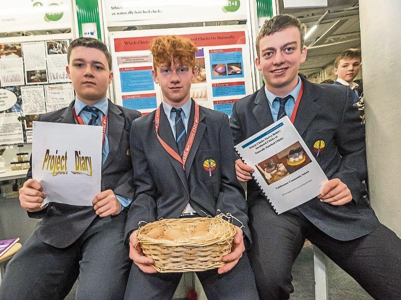 Castlecomer CS: 'Comer group ask which is better - the chicken or the incubator?
