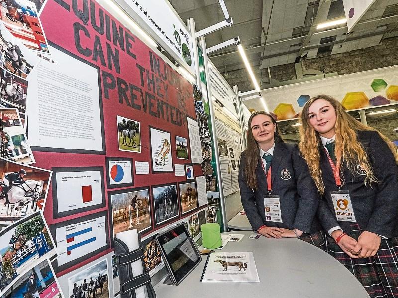  Presentation Kilkenny: Presentation students investigate equine injuries