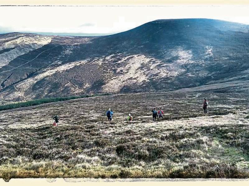 Kilkenny film festival will have you running for the hills