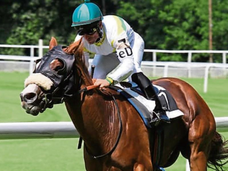 Change of dates for Goresbridge Breeze Up sale