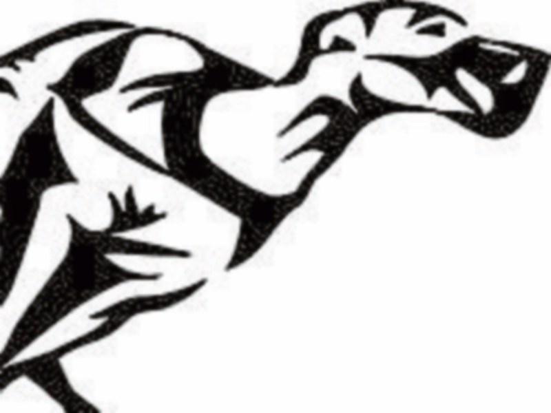 Trumera Wood trumps rivals for big win