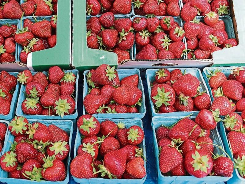 Calls for crackdown on Kilkenny's Callan Road strawberry sellers
