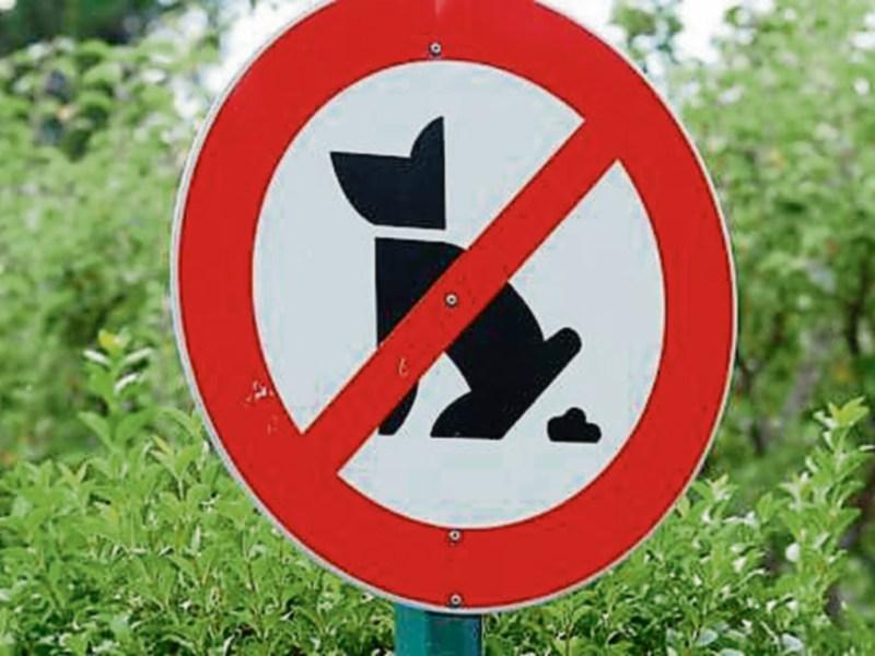 Frustration over dog fouling on pitch in Kilkenny