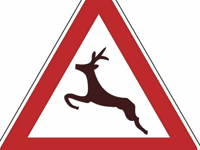 Deer crossing the road causing safety problems near Freshford