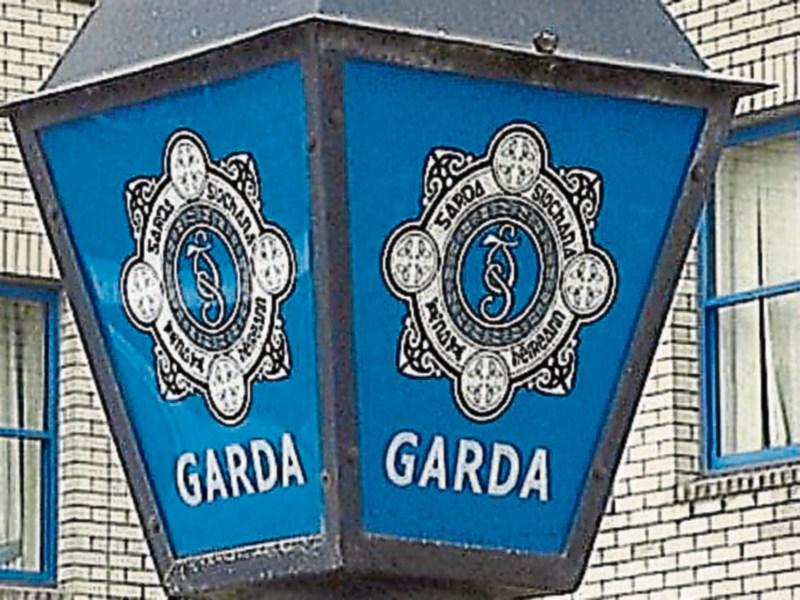 Gardai appeal for information on Freshford death