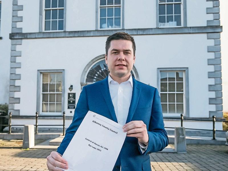 Kilkenny to push for more action on issue of horse-drawn vehicles