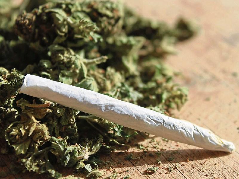 Breaking: €80,000 worth of cannabis seized in Kilkenny