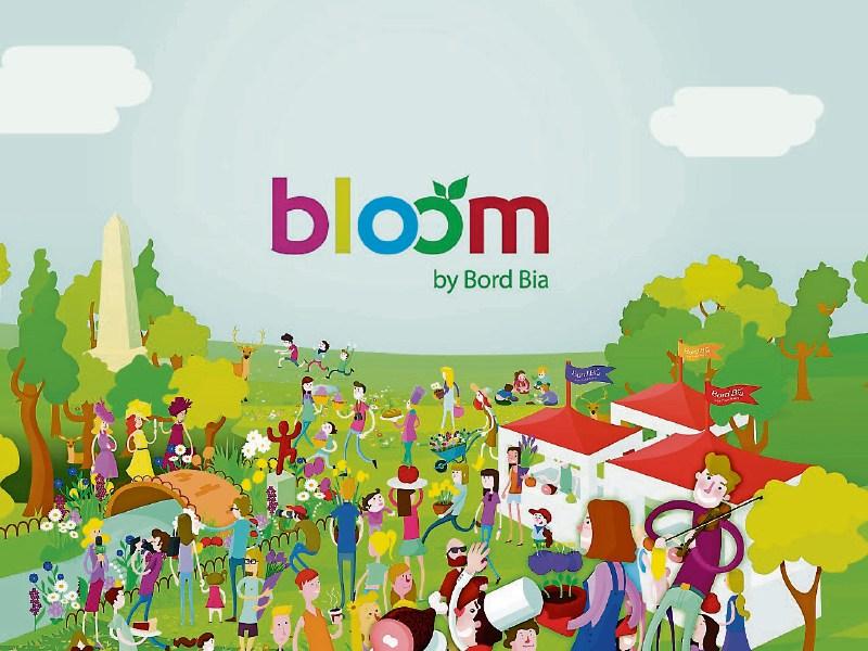 Kilkenny Bloom
