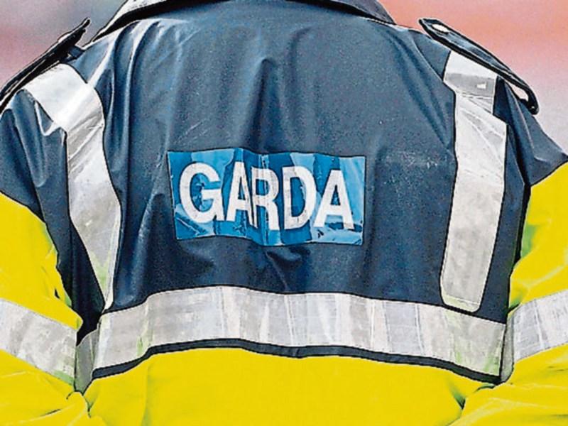 UPDATE: 42 people arrested in Kilkenny district Garda operation