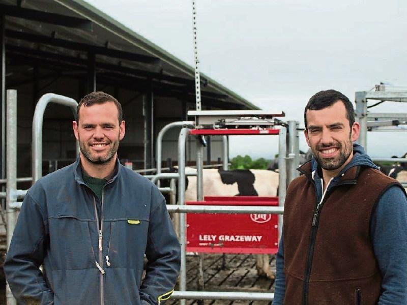 See Walsh's robot in Danesfort, Kilkenny on June 21