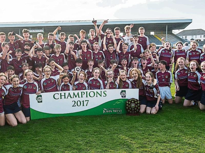 Kilkenny club Dicksboro enjoy double success at Feile finals