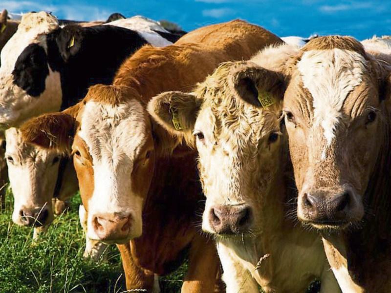 Editorial: Kilkenny&rsquo;s farming fame