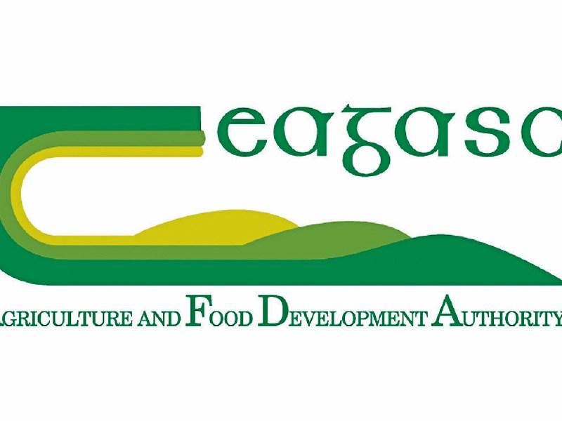 Teagasc 