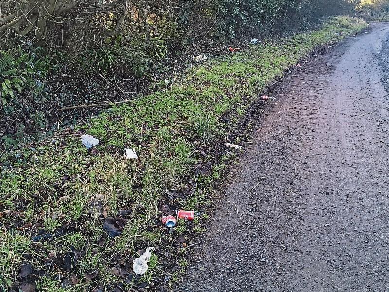 Voluntary litter pickers can't go near 'shocking' road in Kilkenny