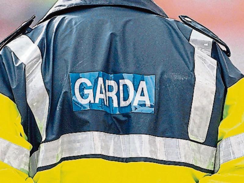Gardai in Thomastown/Kilkenny