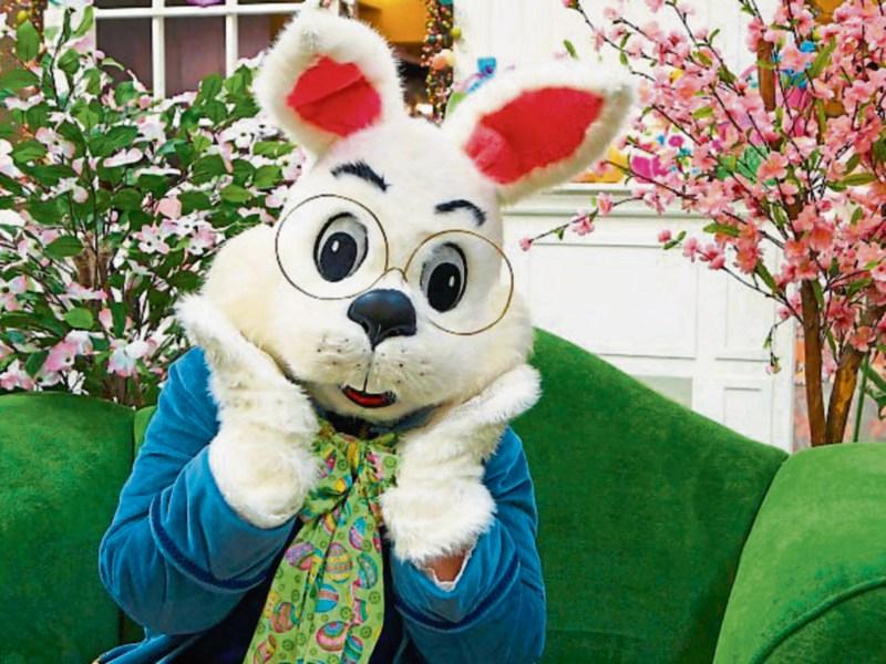 Kilkenny easter Bunny