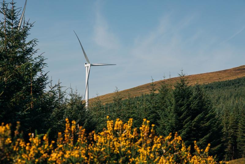 New Kilkenny windfarm for South Kilkenny