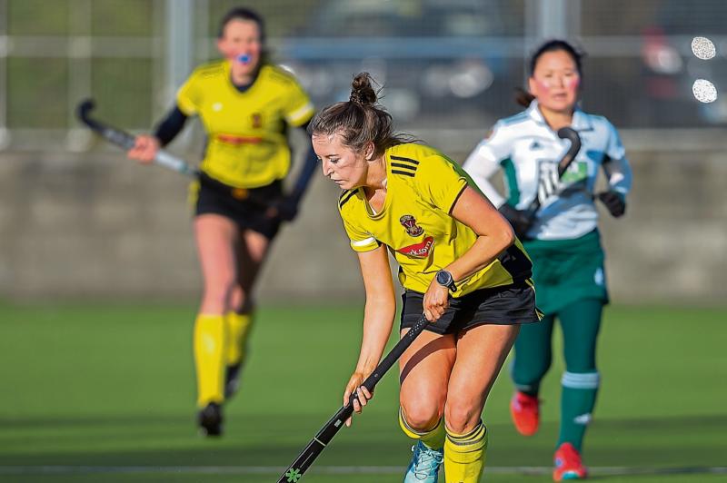 Cats make their point in hard-fought Naas draw