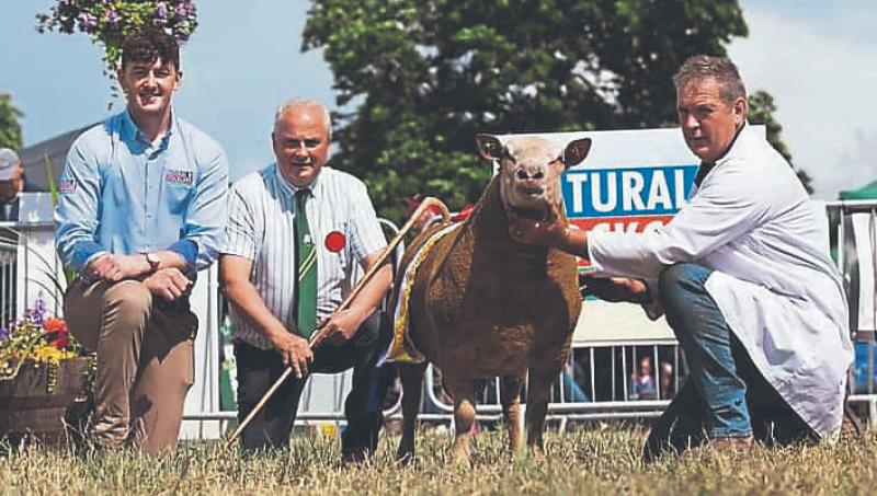 Top marks for ram reared in Kilkenny