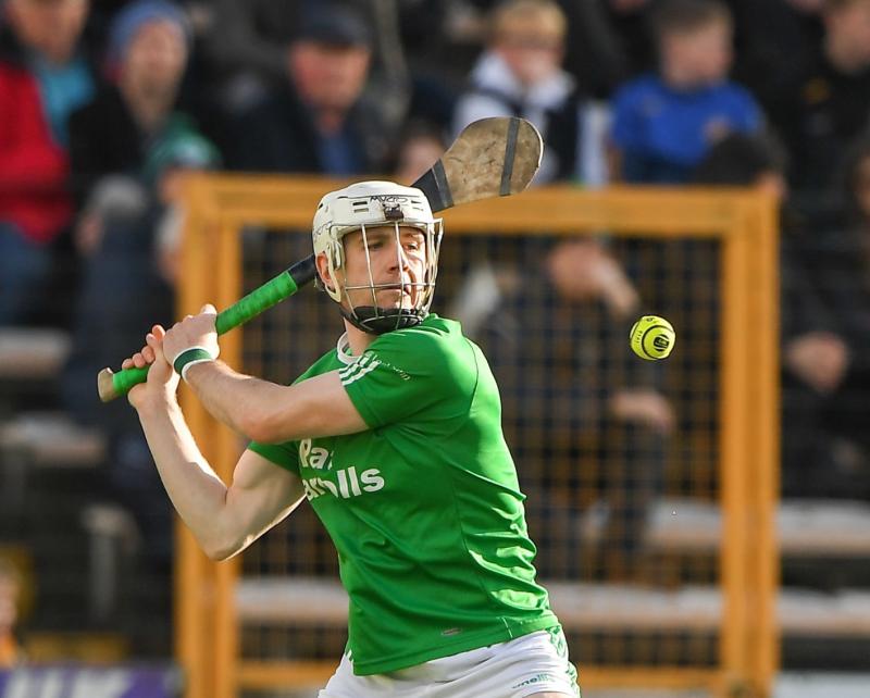 Fogarty and Molloy cap  stellar season with Kilkenny champions