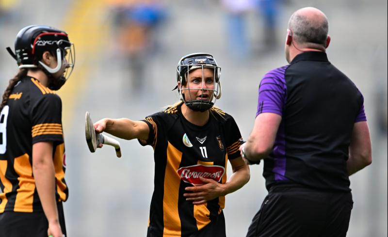 Disappointing year for Kilkenny camogie