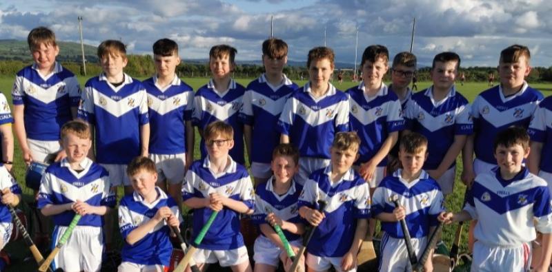 Bord Na nOG- Clubs serve up feast of hurling action