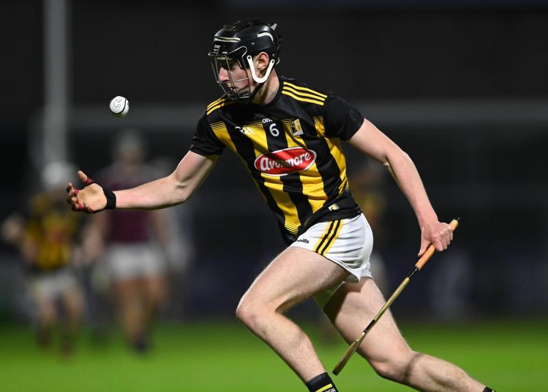 Kilkenny players to the fore in early stages of Fitzgibbon Cup