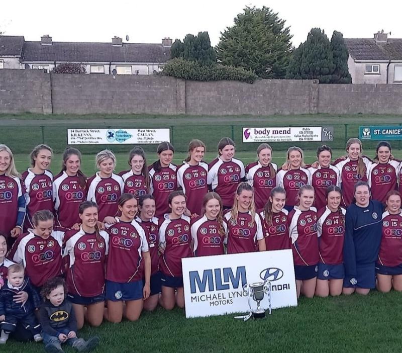 Agony as battling ’Boro lose out in Leinster camogie decider